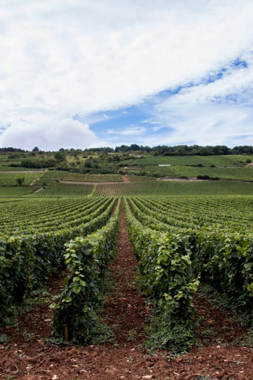 Visiter la Provence | Bastide Beaudinard