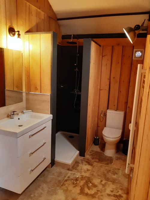 Salle de bain avec douche et toilettes