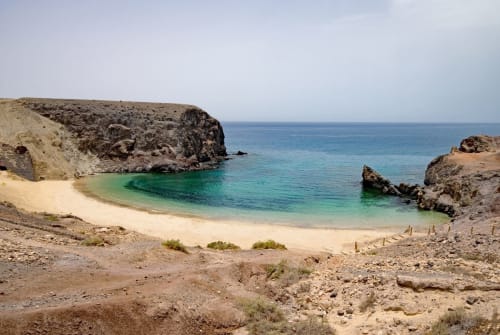 Papagayo