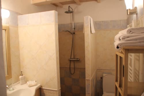 Salle de bain avec douche et toilettes