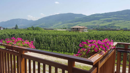 Agritur Clementi | camere in Trentino, Agritur in Trentino Alto Adige ,camere vicino all’uscita dell’autostrada, camere vicino a Trento, piste sciistiche Paganella, piste sciistiche Monte Bondone, camere economiche vicine ad Andalo, Fai della Paganella, Lago di Molveno, Lago di Tovel, mercatini di Natale, piste down hill, guest card, Agritur vicino a piste ciclabili, Agritur in Trentino, Agritur vicino a Trento, Agritur vicino all'uscita dell'autostrada