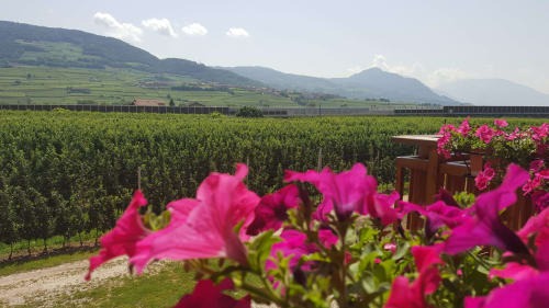 Agritur Clementi | camere in Trentino, Agritur in Trentino Alto Adige ,camere vicino all’uscita dell’autostrada, camere vicino a Trento, piste sciistiche Paganella, piste sciistiche Monte Bondone, camere economiche vicine ad Andalo, Fai della Paganella, Lago di Molveno, Lago di Tovel, mercatini di Natale, piste down hill, guest card, Agritur vicino a piste ciclabili, Agritur in Trentino, Agritur vicino a Trento, Agritur vicino all'uscita dell'autostrada