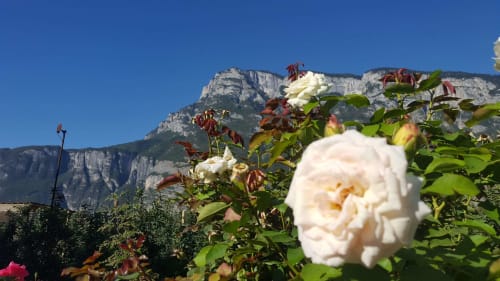 Agritur Clementi | camere in Trentino, Agritur in Trentino Alto Adige ,camere vicino all’uscita dell’autostrada, camere vicino a Trento, piste sciistiche Paganella, piste sciistiche Monte Bondone, camere economiche vicine ad Andalo, Fai della Paganella, Lago di Molveno, Lago di Tovel, mercatini di Natale, piste down hill, guest card, Agritur vicino a piste ciclabili, Agritur in Trentino, Agritur vicino a Trento, Agritur vicino all'uscita dell'autostrada
