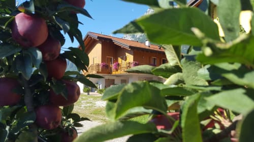 Agritur Clementi | camere in Trentino, Agritur in Trentino Alto Adige ,camere vicino all’uscita dell’autostrada, camere vicino a Trento, piste sciistiche Paganella, piste sciistiche Monte Bondone, camere economiche vicine ad Andalo, Fai della Paganella, Lago di Molveno, Lago di Tovel, mercatini di Natale, piste down hill, guest card, Agritur vicino a piste ciclabili, Agritur in Trentino, Agritur vicino a Trento, Agritur vicino all'uscita dell'autostrada