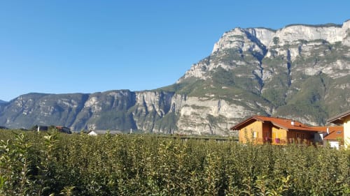 Agritur Clementi | camere in Trentino, Agritur in Trentino Alto Adige ,camere vicino all’uscita dell’autostrada, camere vicino a Trento, piste sciistiche Paganella, piste sciistiche Monte Bondone, camere economiche vicine ad Andalo, Fai della Paganella, Lago di Molveno, Lago di Tovel, mercatini di Natale, piste down hill, guest card, Agritur vicino a piste ciclabili, Agritur in Trentino, Agritur vicino a Trento, Agritur vicino all'uscita dell'autostrada