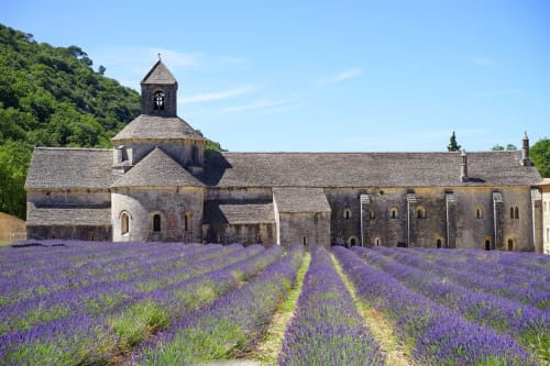 Abbaye de Senanque avec ses champs de lavande