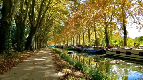 Balade en vélo ou à pied au bord du canal du midi