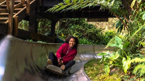 parc de la luge, lodges des vacoas 