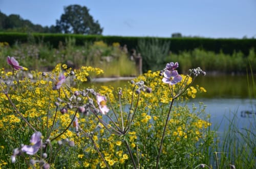 Blumen im Garten