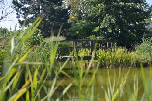Brücke über dem Teich