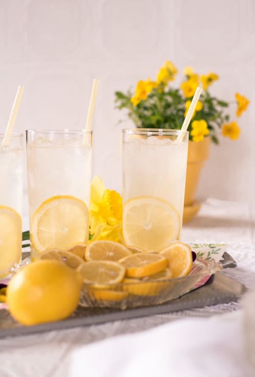 Nos services - boissons fraîches - location de vacances - bordeaux