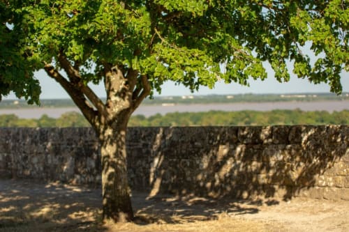 Blaye - Bourg - Terres d'estuaire - Villages à visiter en gironde 