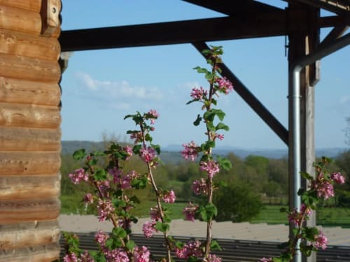 Chambre au calme dans le Jura - Red Spring