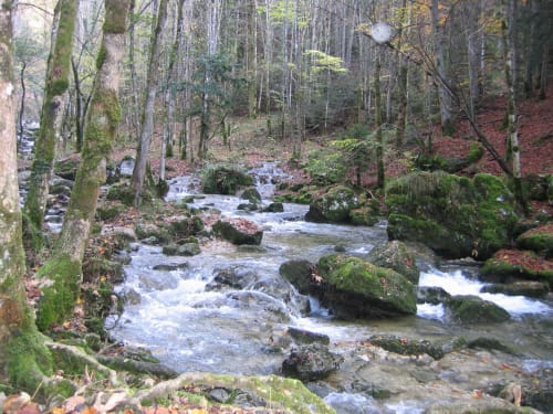 Se ressourcer dans le Jura