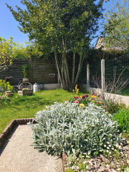 Vue du jardin des Forges Du Lou avec parterres fleuris, herbes aromatiques et arbre à Jugon-les-Lacs