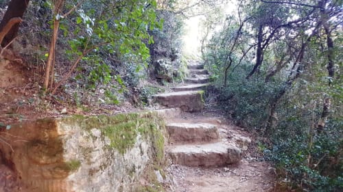 Pont du Gard  acces au belvedere  Le Portel des Arnaud  Durfort 
