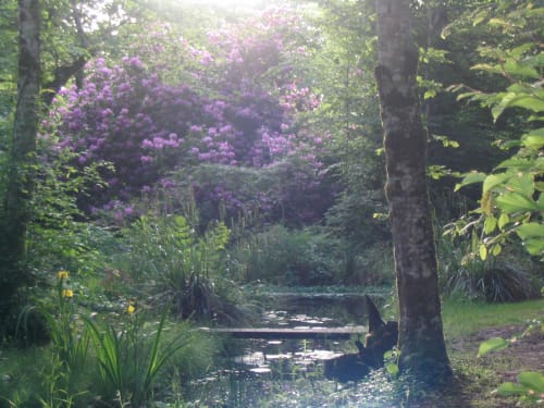 Visiter les jardins d'Eaux Vives à Saint Laurent, près de Vierzon dans le Berry Sologne, à côté de la Tiny House Inspire