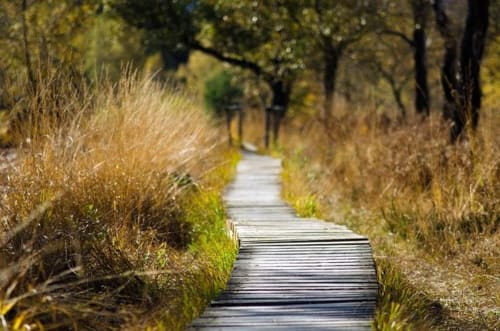 La Gironde à pied - Balades dans la nature