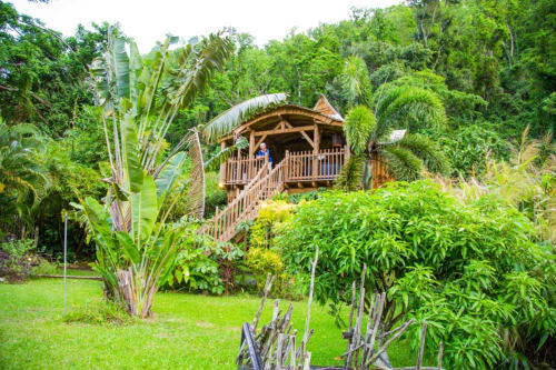Parc, cabane perchée, pointe-noire, hébergements insolites, West Indies cottage, Guadeloupe. 