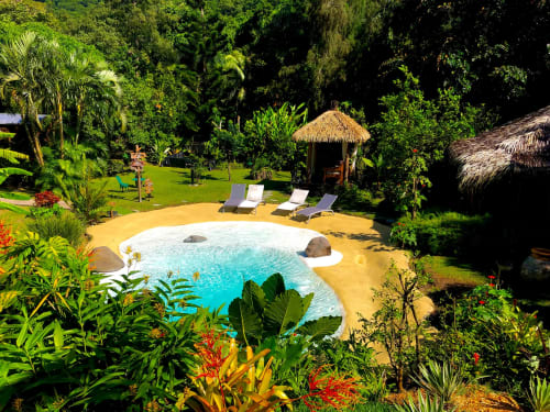 Jardin, espace détente, piscine extérieur, pointe-noire, hébergements insolites, West Indies cottage, Piscine, Tree House, Cabane dans les arbre, Guadeloupe.