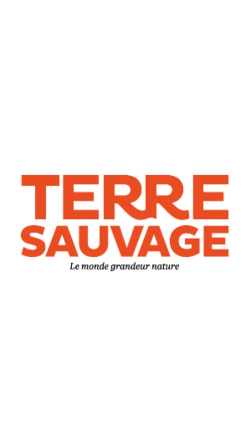 Terre sauvage, partenaires, hébergements insolites, West Indies cottage, Guadeloupe. 