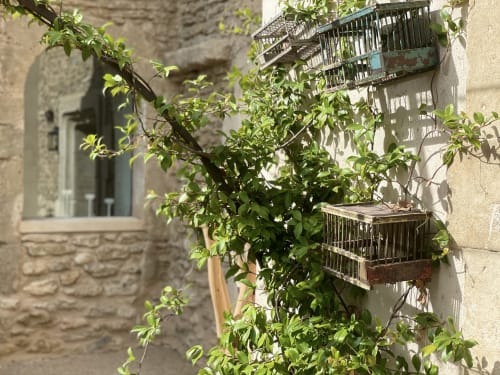 Location gîte 10 personnes avec piscine - Vaucluse - Mas la Belle Vie