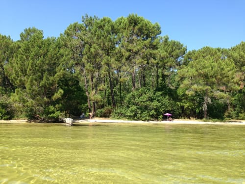 location appartements vacances arcachon