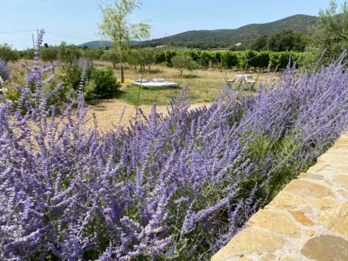 maison d'hote la ferme luberon
