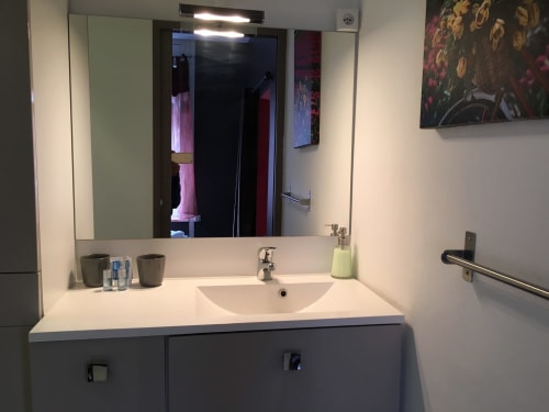 Salle de bain appartement d'hôte Lille La Madeleine