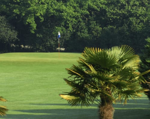 Parcours de golf aux Forges Du Lou avec drapeau bleu, palmier et décor boisé à Jugon-les-Lacs