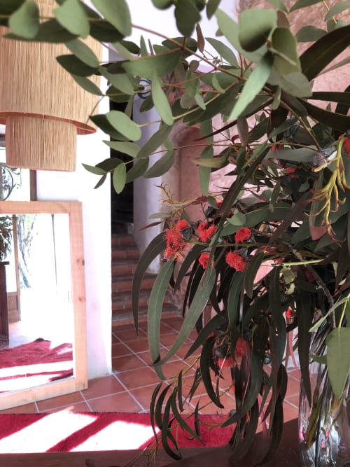 Hostal de Bianya - estructura en la naturaleza