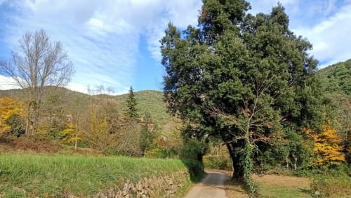 Hostal de Bianya - hostel in nature