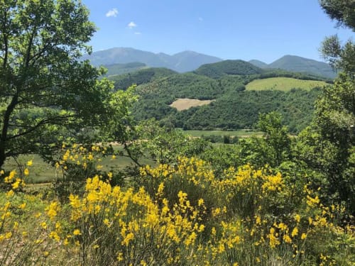 Agriturismo Ca' Le Suore | agriturismo con camere, vacanze in agriturismo, agriturismo con piscina, agriturismo dove dormire, agriturismo nelle Marche, Agriturismo a Cagli, alloggi a Cagli. Casa con giardino, Casa con terrazza. Casa con piscina. Escursioni, attivitá, corsi all'aria aperta, sala congressi Marche, ritiri yoga, corsi di cucina marchigiana.