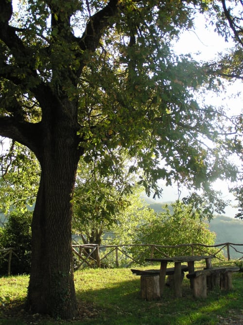 Agriturismo Ca' Le Suore | agriturismo con camere, vacanze in agriturismo, agriturismo con piscina, agriturismo dove dormire, agriturismo nelle Marche, Agriturismo a Cagli, alloggi a Cagli. Casa con giardino, Casa con terrazza. Casa con piscina. Escursioni, attivitá, corsi all'aria aperta, sala congressi Marche, ritiri yoga, corsi di cucina marchigiana.