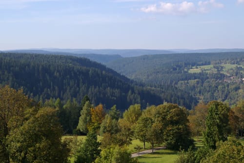 Visiter Forêt Noire Alsace Bas-Rhin - Maison de vacances 16 personnes -piscine -jacuzzi et sauna -Villa Avril et Spa 