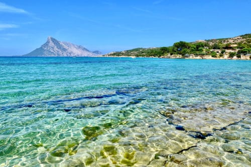 B&B Kenzia | Bed & Breakfast Olbia, Sardegna, spiaggia, mare, isola, Costa Smeralda, Gola su Gorropu, San Simplicio, Pozzo Sacro, Tavolara