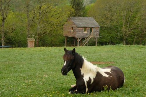 Cabane insolite avec vue sur les chevaux - Les Tramois, Donzy