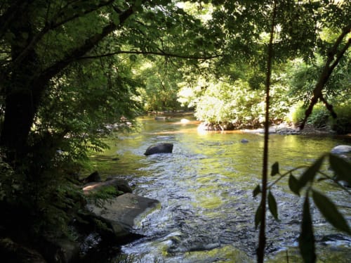 Rivière sauvage Léguer - pêche saumon Côtes d'Armor Insolite