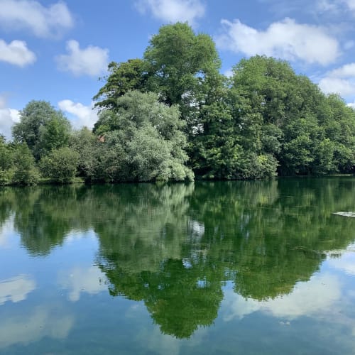 À fleur d'eau, Moulin Moulin s'épanoui au bord d'un vaste étang