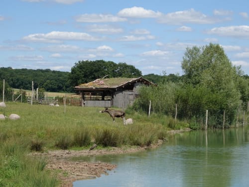 LE PARC DE SAINTE CROIX, Chambre d'hôte, gîte de France, Flocourt.
