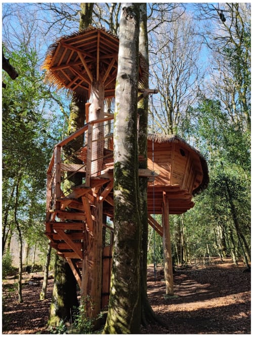 Bon cadeau Passion 2 pers 165 Euros Cabane dans les arbres ou dans un  Gîte (Bon cadeau) de Hébergements insolites de Quénécan - Cabane dans les  arbres en Bretagne - Bon Repos sur Blavet