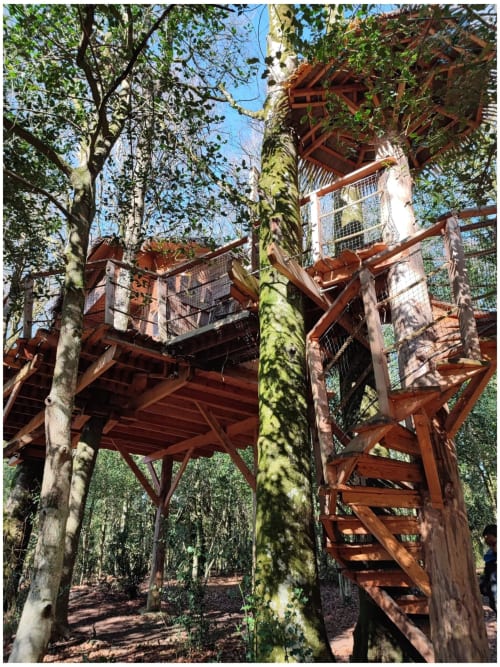 Bon cadeau Découverte 2 pers 140 Euros Cabane dans les arbres ou dans un  Gîte (Bon cadeau) de Hébergements insolites de Quénécan - Cabane dans les  arbres en Bretagne - Bon Repos sur Blavet