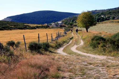 Balades dans les cévennes - Vacances nature - Maison d'hôtes Le Mas de Cyjelac
