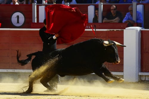 Férias d'Alès et de Nîmes - Se loger à proximité - Maison d'hôtes Le Mas de Cyjelac
