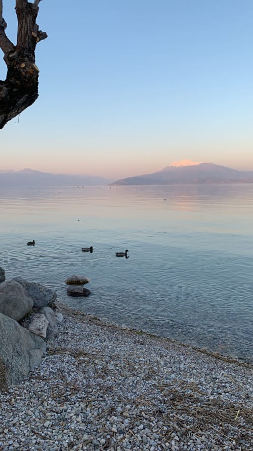 B&B Villa Brema | camere e appartamenti a 200 metri dal lago di Sirmione. Miglior prezzo. Relax lontano dalla cittá. Vicino le spiagge