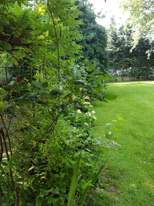 Villa Mirano B&B | Camere a Piossasco, alle porte di Torino. Offre piscina, giardino, Wifi gratuito, tv schermo piatto, animali ammessi, colazione continentale, parcheggio interno gratuito, area bambini. Nelle vicinanze: Bioparco ZOOM, Valle di Susa, piste da sci, cicloturismo, mototurismo.