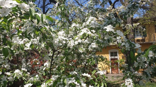 Villa Mirano B&B | Rooms in Piossasco, on the outskirts of Turin. It offers swimming pool, garden, free Wifi, flat screen TV, pets allowed, continental breakfast, free indoor parking, children's area. Nearby: ZOOM Biopark, Susa Valley, ski slopes, cycling, motorbike tourism.