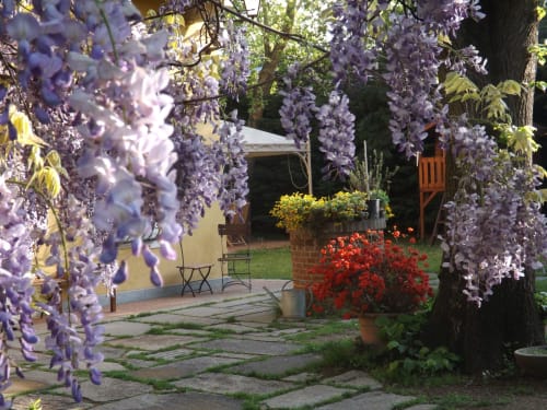 Villa Mirano B&B | Rooms in Piossasco, on the outskirts of Turin. It offers swimming pool, garden, free Wifi, flat screen TV, pets allowed, continental breakfast, free indoor parking, children's area. Nearby: ZOOM Biopark, Susa Valley, ski slopes, cycling, motorbike tourism.