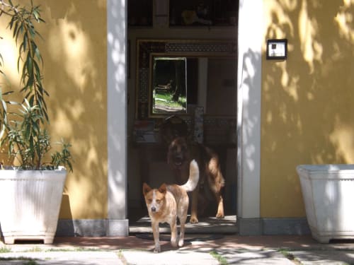 Villa Mirano B&B | Rooms in Piossasco, on the outskirts of Turin. It offers swimming pool, garden, free Wifi, flat screen TV, pets allowed, continental breakfast, free indoor parking, children's area. Nearby: ZOOM Biopark, Susa Valley, ski slopes, cycling, motorbike tourism.