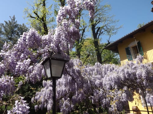 Villa Mirano B&B | Camere a Piossasco, alle porte di Torino. Offre piscina, giardino, Wifi gratuito, tv schermo piatto, animali ammessi, colazione continentale, parcheggio interno gratuito, area bambini. Nelle vicinanze: Bioparco ZOOM, Valle di Susa, piste da sci, cicloturismo, mototurismo.